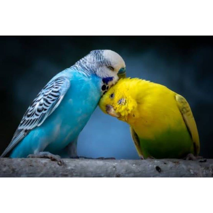 image_870x_68265f2d5357a
