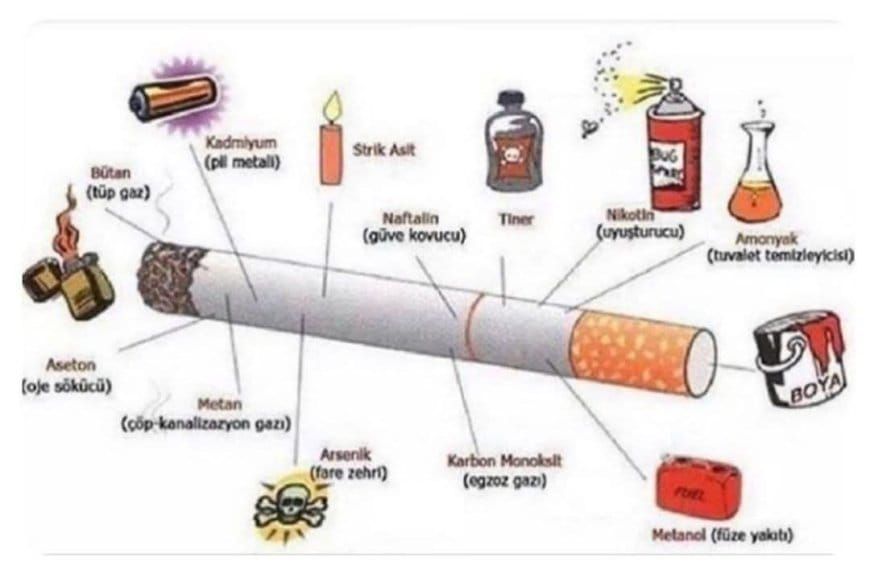Sigaranın Tehlikeleri?