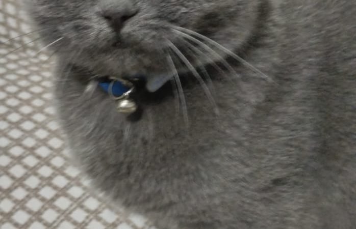IMG-20251115-WA0006