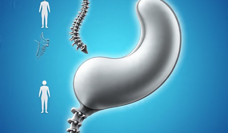 Bel Fıtığı Gerçeği: Modern Hayatın Görünmez Tehdidi?