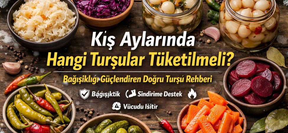 0031d56a-113b-4744-904e-0b9ed696de69