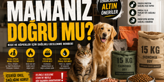 Kedinizin ve Köpeğinizin Maması Doğru mu? İşte Sağlıklı Beslenmenin Bilimsel Rehberi?