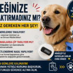 file_00000000b13c720a8b665433a416677d