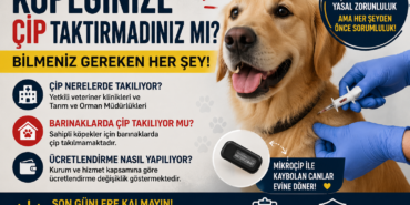 file_00000000b13c720a8b665433a416677d