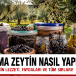 file_000000009d5871f782cb710b7c109b6f