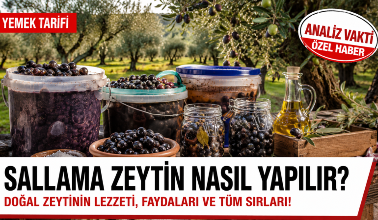 Sallama Zeytin Nasıl Yapılır? Doğal Zeytinin Bilinmeyen Gücü?